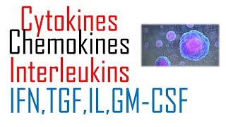 Chemokines and cytokines immunology [upl. by Eirrem]