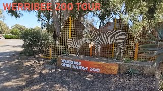 Werribee Open Range Zoo Tour  Victoria Australia [upl. by Ethban]