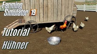 LS19 Hühner Tutorial  für Einsteiger [upl. by Vanna148]