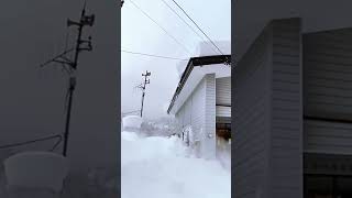 Satisfying Roof Snow Avalanche [upl. by Maressa]