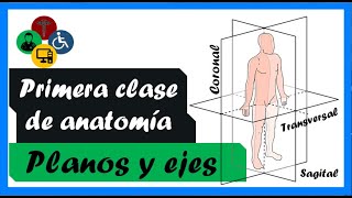 PRIMERA clase de ANATOMIA  PLANOS Y EJES anatómicos [upl. by Arnelle171]