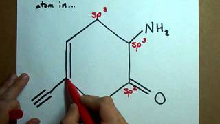 What is the hybridization of each atom in this molecule [upl. by Akinat]