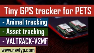 Super Tiny long life GPS tracker for PETS and Asset tracking  VALTRACKV2MF [upl. by Siubhan448]