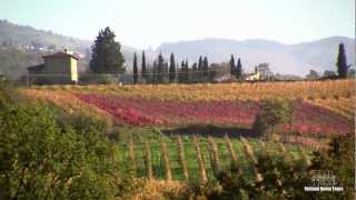 Enchanting Chianti Wine Tour  with Stefano Rome Tours [upl. by Ahsuat]