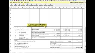 BMD NTCS Lohnverrechnung Reports und Auswertungen [upl. by Aneelak]