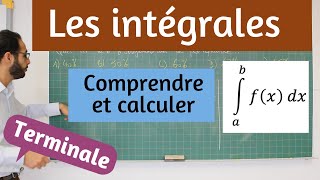 Les intégrales [upl. by Fisa]