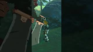 Best Way to Defeat a Lynel [upl. by Notyrb]