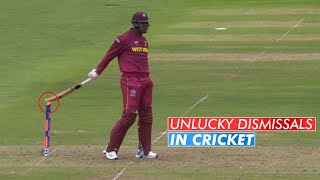 8 Unlucky Dismissals in Cricket Cricket 18 [upl. by Leumas999]