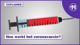 Wat gebeurt er na een coronaprik  RTV Noord [upl. by Ycak]