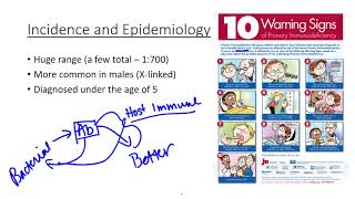 Primary Immunodeficiencies overview pt 1 [upl. by Borek358]