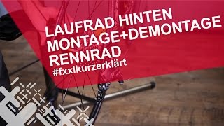 Rennrad Hinterrad ausbauen amp einbauen  fxxlkurzerklärt [upl. by Anoyi]