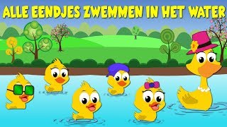 Nederlandse Kinderliedjes  Alle Eendjes Zwemmen In Het Water [upl. by Arehahs]