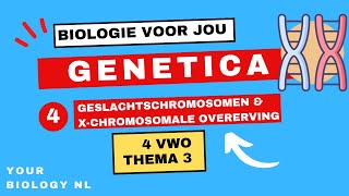 4 vwo  Genetica  4  Geslachtschromosomen amp Xchromosomale overerving [upl. by Freyah]