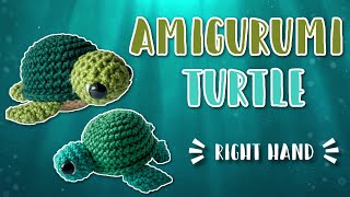 Amigurumi Turtle  Easy Beginners Tutorial  Crochet Pattern PDF  Right Handed [upl. by Enelyad139]