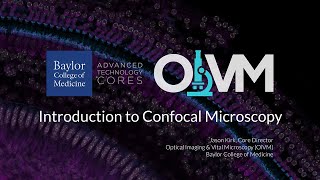 Introduction to Confocal Microscopy [upl. by Rutra]