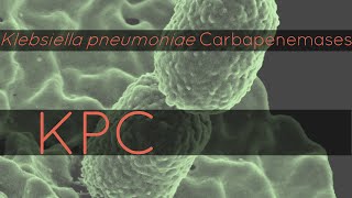 KPC Klebsiella pneumoniae Carbapenemases [upl. by Brande]