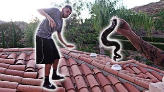 INSANE SNAKE PRANK ON MY BROTHER CRAZY FREAKOUT  FaZe Rug [upl. by Hnid]