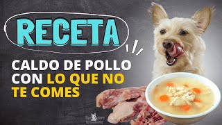 CALDO DE POLLO PARA TU MASCOTA [upl. by Kciredohr]