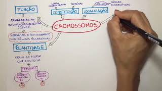 Cromossomos [upl. by Haldas]