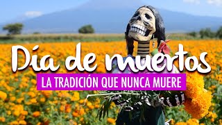 ATLIXCO DÍA DE MUERTOS EN PUEBLA La tradición que nunca muere [upl. by Tedie136]