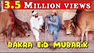 Bakra Eid mubarik l Peshori vines Official [upl. by Eanad365]