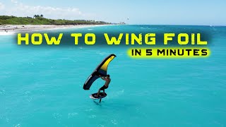 How to WING FOIL in 5 minutes [upl. by Onyx]