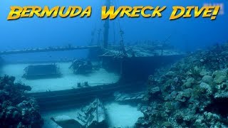 Diving the Hermes Wreck Bermuda The Bermuda Triangle [upl. by Ayihsa]