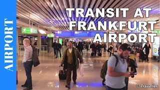 TRANSIT WALK AT FRANKFURT Airport FRA Terminal 1  Connection Flight Transfer Arriving amp Departing [upl. by Civ]