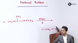 Natural Rubber  Polymers  Chemistry Class 12 [upl. by Lay]