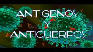 Antigenos y Anticuerpos Estructura clasificación y propiedades [upl. by Johppa]