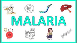 Malaria  Causes Pathogenesis Signs and Symptoms Diagnosis Treatment and Prevention [upl. by Adnohs831]