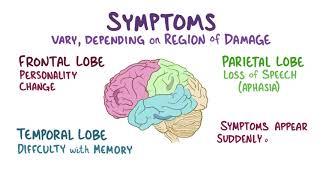 Vascular dementia causes symptoms diagnosis treatment pathology [upl. by Enelrats]