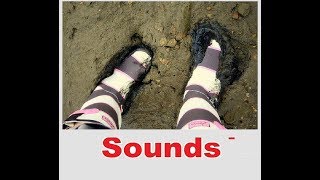 Squelch Sound Effects All Sounds [upl. by Craddock249]