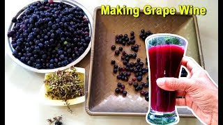 How To Make Grape Wine at Home  Homemade Red Wine Recipe  Craft Village [upl. by Pessa]