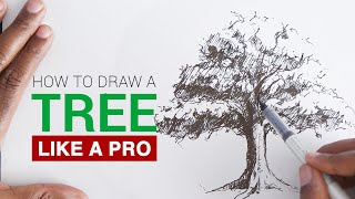 How to draw a realistic tree for beginners [upl. by Leban]