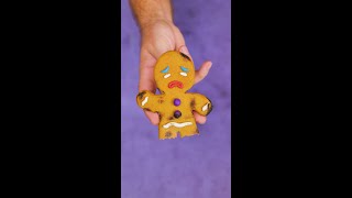 DIY Gingerbread Man canicomewithyou [upl. by Utter]