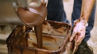 Chocolate Production Process [upl. by Armin]