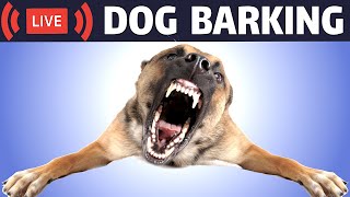 Dog Barking Sound  Dogs Barking Live Bark [upl. by Mutua]