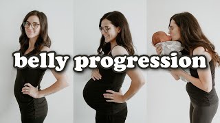 PREGNANT BELLY PROGRESSION  Week by Week Transformation [upl. by Niawtna]