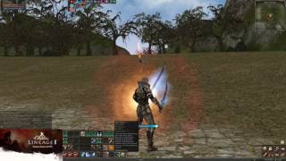 Lineage 2 Classic Club  Myrciu PvP 4 [upl. by Repsihw]