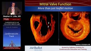 Symptoms of Mitral Valve Disease [upl. by Harv]