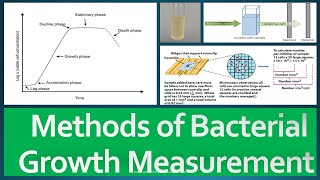 Growth Measurement Methods [upl. by Aihseyk]