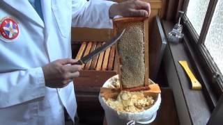 6 Harvesting and processing honey from your honeybees [upl. by Croom915]