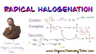 Radical Halogenation of Alkanes [upl. by Airamat]