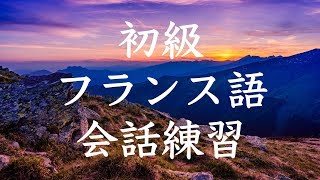 初級フランス語会話トレーニング230  基本フレーズ聞き流し [upl. by Nireil]