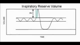 Spirometry [upl. by Haerdna903]