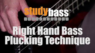 Plucking Right Hand Bass Technique  StudyBass [upl. by Ahsiya]