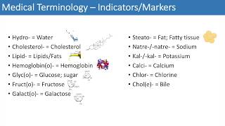 Medical Terminology  The Basics  Lesson 3 [upl. by Amelus]