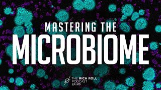 Mastering the Microbiome A Master Class in Gut Health  Rich Roll Podcast [upl. by Rosner]