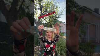 Demodex cure Kill Demodex infestation No more face mites Human solution for demodicosis Video 4 [upl. by Eilsel]